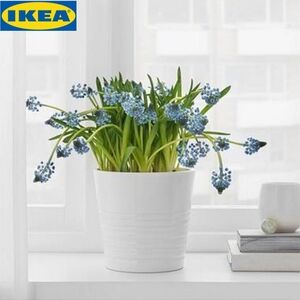 IKEA - MUSKOT Plant Pot = 15cm